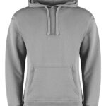 Regular Fit Hoodie
