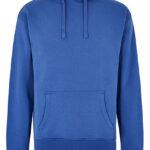 Regular Fit Hoodie