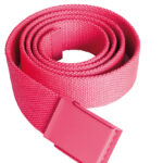 Trendy Promotional Belt Basel