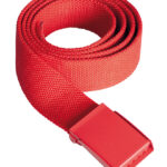 Trendy Promotional Belt Basel