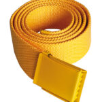 Trendy Promotional Belt Basel
