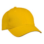 Heavy Cotton Cap