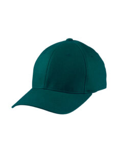 Original Flexfit Cap