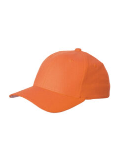 Original Flexfit Cap