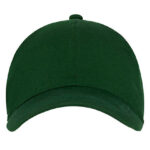6 Panel Cap