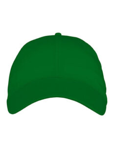 6 Panel Cap
