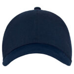 6 Panel Cap