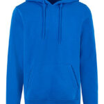 Basic Hoody