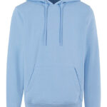 Basic Hoody