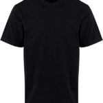 Basic Regular Fit Tee