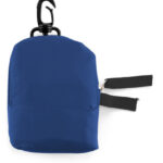Foldable Carrying Bag ‘Pocket’