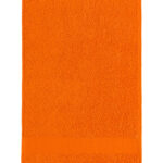 Guest Towel