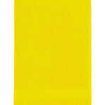 Guest Towel