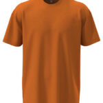 Unisex Heavyweight T-Shirt