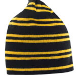 Team Reversible Beanie
