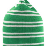 Team Reversible Beanie