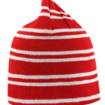 Team Reversible Beanie