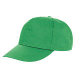 Houston 5-Panel Cap