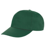 Houston 5-Panel Cap