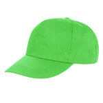Houston 5-Panel Cap