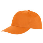 Houston 5-Panel Cap
