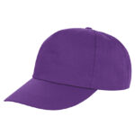 Houston 5-Panel Cap