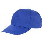 Houston 5-Panel Cap