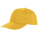 Houston 5-Panel Cap