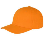 Memphis Brushed Cotton Low Profile Cap