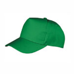 Junior Boston Printers Cap