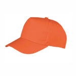 Junior Boston Printers Cap