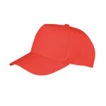 Junior Boston Printers Cap
