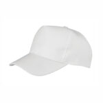 Junior Boston Printers Cap