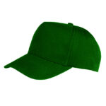 Boston Printers Cap