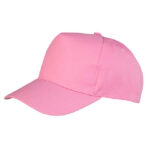 Boston Printers Cap