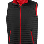 Recycled Thermoquilt Gilet