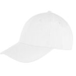 Core Recycled Low Profile Cap