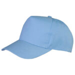Core Junior Recycled Printers Cap
