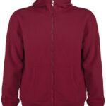 Montblanc Hooded Sweatjacket