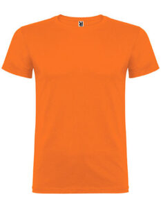 Beagle T-Shirt