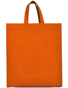 Lake Bag