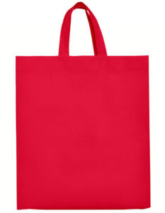 Lake Bag
