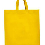 Lake Bag