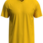 Classic-T V-Neck