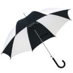 Automatic Umbrella With Plastic Handle