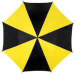 Automatic Umbrella With Plastic Handle