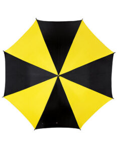 Automatic Umbrella With Plastic Handle