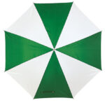 Automatic Umbrella With Plastic Handle