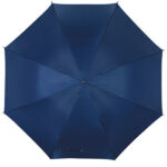 Automatic Umbrella With Plastic Handle