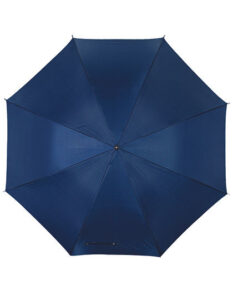 Automatic Umbrella With Plastic Handle